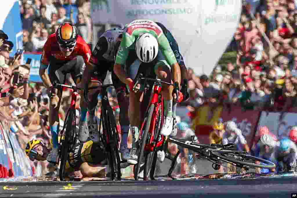 Mads Pedersen of Denmark and Team Trek, right, sprints to win the 16th stage at the finish line, as Primoz Roglic of Slovenia, left back, falls in the final push during the Vuelta cycling race between San Lucar de Barrameda and Tomares, in Tomares, Spain, Sept. 6, 2022.