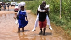 Murisanga
