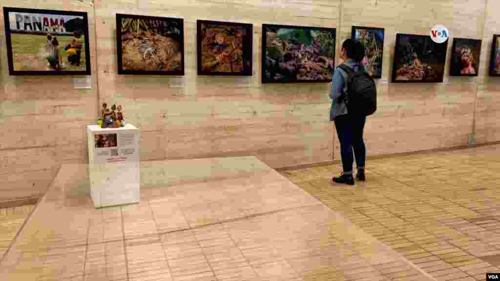 Darién: Sueños de Barro, es la primera parte de la exposición “Refugiados y Migrantes en América”, y que cuenta la difícil realidad de las personas que deciden cruzar la frontera entre Colombia y Panamá. 