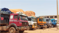 Dugudenw ka bɔ Boni, Mopti mara la, olu bɛ kunnafoni kura di lakana ko la sigida la min bɛ ka tɔɔrɔ sɔrɔ jatigewale kuluw fɛ