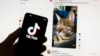 Another US State Sues TikTok, Saying It Lures Children Into Destructive Habits