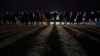FILE - Migrants wait to be processed to seek asylum after crossing the border into the United States, Jan. 6, 2023, near Yuma, Ariz.