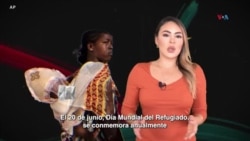 ¿Qué diferencias existen entre ser refugiado, asilado y desplazado interno?