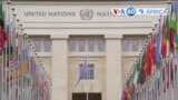 Manchetes africanas: ONU opõe-se ao envio de migrantes do Reino Unido para o Ruanda