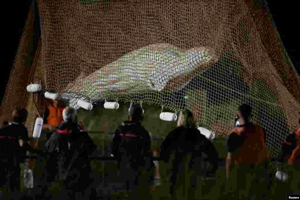 Firefighters and members of a search and rescue team pull up a net as they rescue a Beluga whale which strayed into France's Seine river, near the Notre-Dame-de-la-Garenne lock in Saint-Pierre-la-Garenne, France.