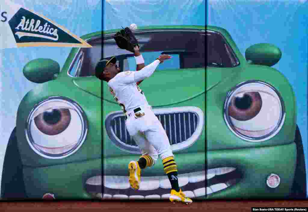 Oakland Athletics left fielder Tony Kemp (5) catches the ball during the first inning against the Miami Marlins at RingCentral Coliseum in Oakland, California, Aug. 22, 2022.