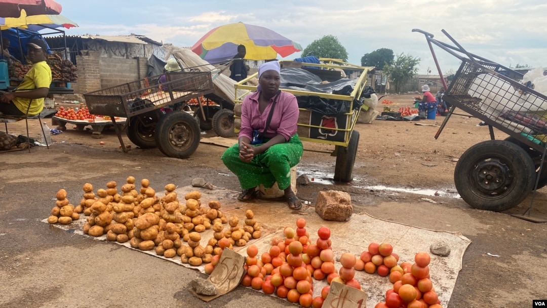 People sell produce in Zimbabwe in this undated photo. Zimbabwe's economy has mainly turned informal over the years, and authorities attribute that to sanctions imposed by some Western nations following reports of election rigging and human rights abuses. (Columbus Mavhunga/VOA)