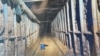 Descubren sofisticado túnel de narcotráfico entre Tijuana y San Diego