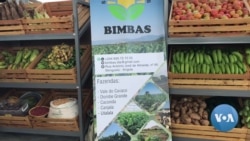 Importação de carne e outros produtos alimentares "leva" divisas que mudariam o mercado angolano
