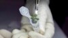 Científicos logran cultivar plantas en suelo lunar