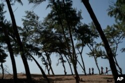 FILE - Women walk under filao trees planted to slow coastal erosion as they form a curtain that protects the beginning of the Great Green Wall in Lompoul village near Kebemer, Senegal, Nov. 5, 2021. (AP Photo/Leo Correa, File)