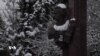 16x9 Image