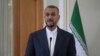 Iran Admits Selling Drones to Russia Before War; Kyiv Says Tehran is Lying