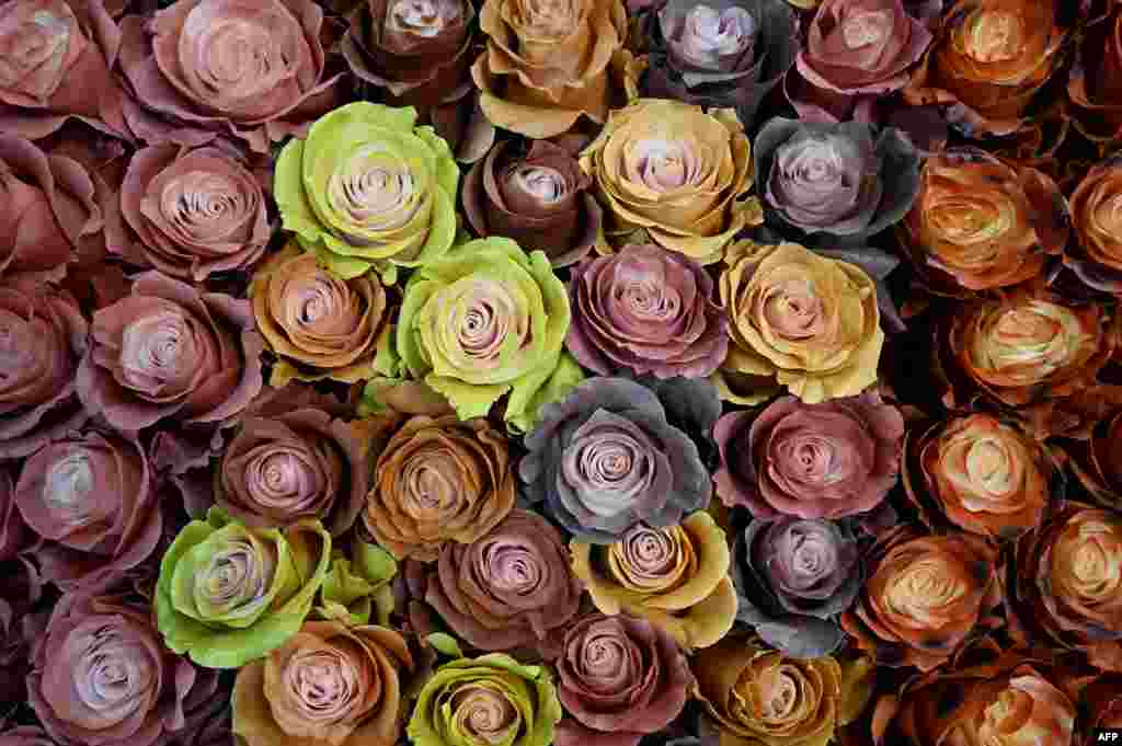 Some varieties of roses are displayed at the Expo Flor Ecuador 2022, in the Metropolitan Convention Center in Quito, Ecuador.