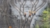 China's sprawling rail projects around Asia