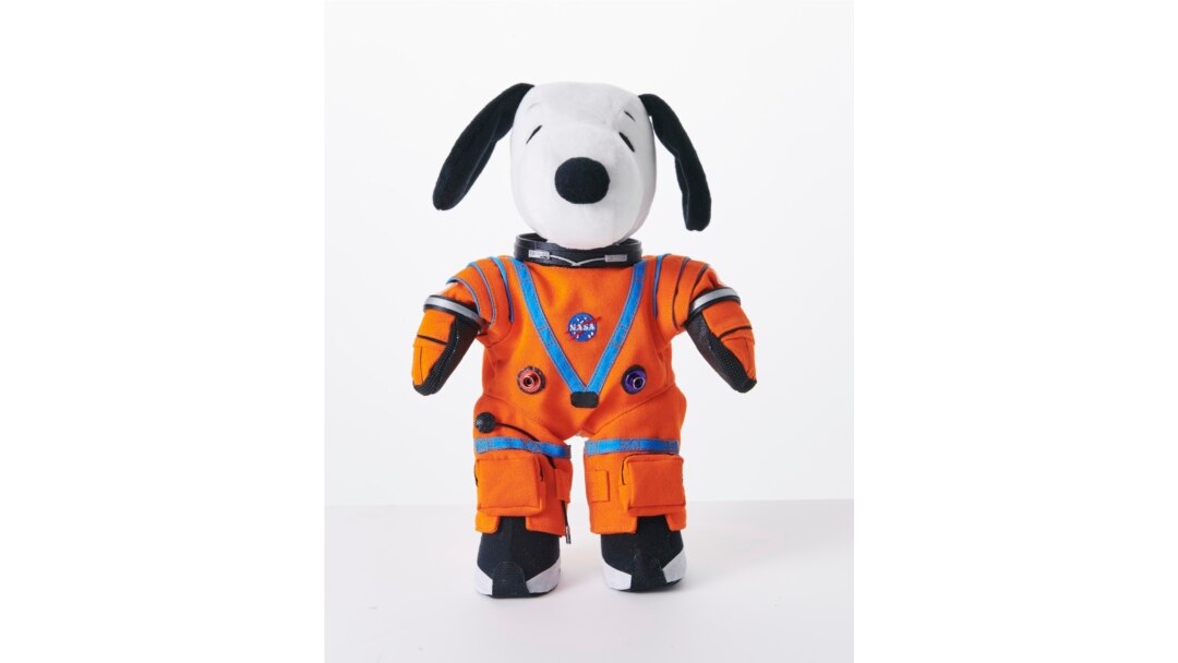 Snoopy in Space