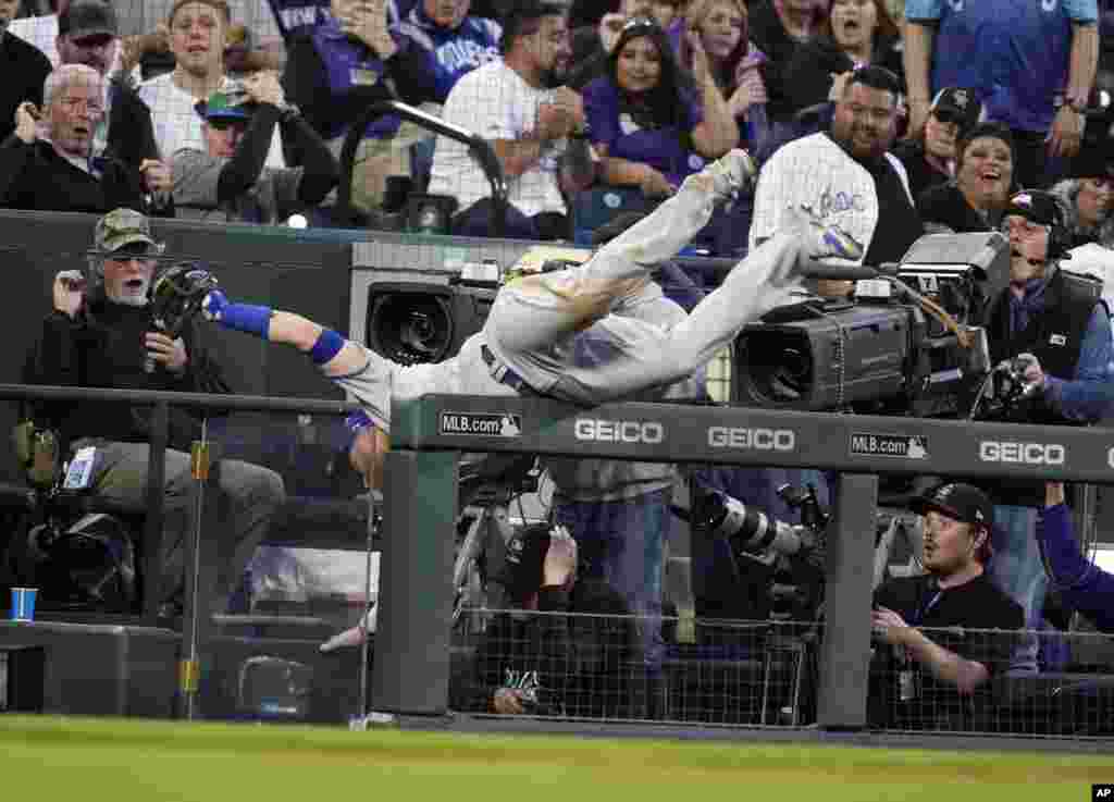 Los Angeles Dodgers third baseman Justin Turner tumbles over the railing to the third-base photo well to haul in a foul pop off the bat of Colorado Rockies' Charlie Blackmon in the fifth inning of a baseball game, April 9, 2022, in Denver.