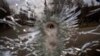 A man is seen through a bullet hole of a machine-gunned bus after an ambush in the city of Kyiv, Ukraine, March 4, 2022.