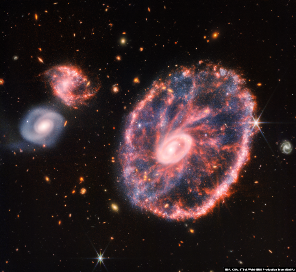 This image from Webb’s Webb’s Near-Infrared Camera (NIRCam) shows a group of galaxies, including a large distorted ring-shaped galaxy known as the Cartwheel. The Cartwheel Galaxy, located 500 million light-years away in the Sculptor constellation, is composed of a bright inner ring and an active outer ring. While the outer ring has a lot of star formation, the dusty area in between reveals many stars and star clusters.