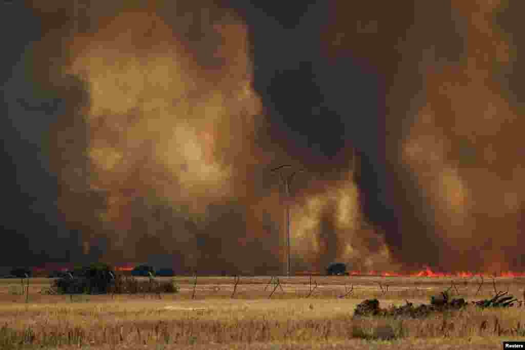 A view shows the fire reaching a wheat field near Tabara, Zamora, on the second heatwave of the year, in Spain.