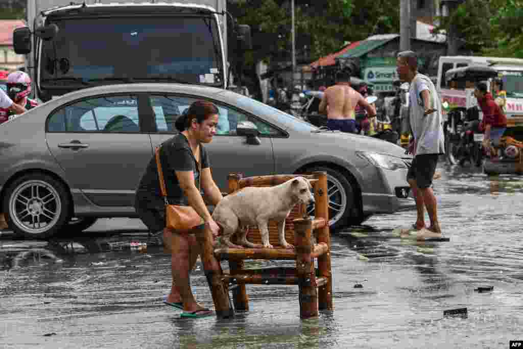 A woman moves her dog while residents evacuate from their submerged homes in the aftermath of Super Typhoon Noru in San Ildefonso, Bulacan province, Philippines.