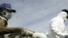Terrorism Fears Prompt Call for Restrictions on Publishing Virus Research