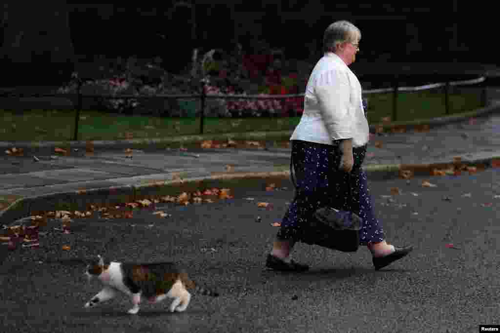 New British Health Secretary and Deputy Prime Minister Therese Coffey walks next to Larry the cat at Number 10 Downing Street in London, Sept. 6, 2022.
