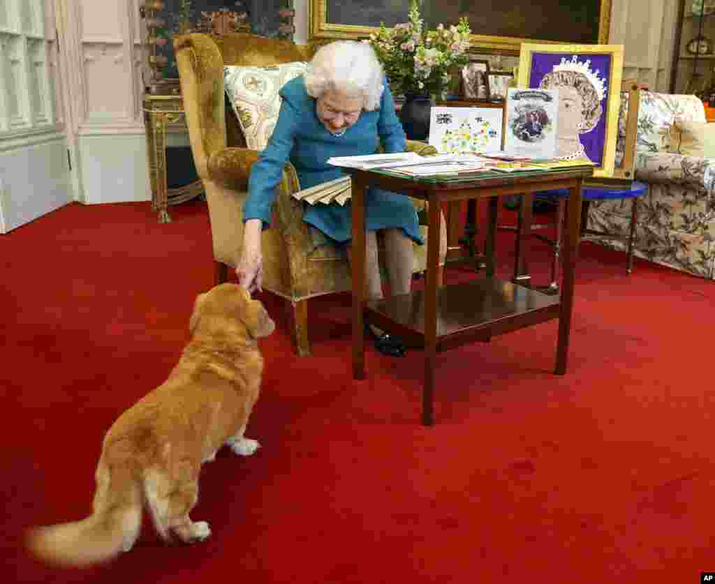Britain's Queen Elizabeth II, joined by one of her dogs, looks at a display of memorabilia from her Golden and Platinum Jubilees in the Oak Room at Windsor Castle, Windsor, England, in this undated but recent image that was released Feb. 4, 2022.