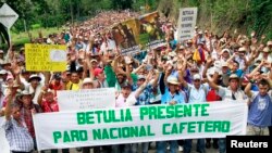 Los productores cafeteros dicen que el cese de actividades es indefinido. 