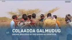 Qubanaha VOA