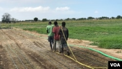 Angola, Agricultura
