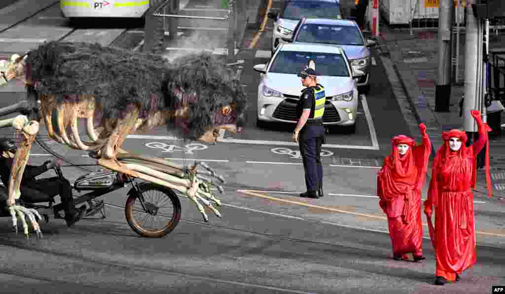 "Blinky" (L), a giant, burning part-skeleton, part-koala creation, is wheeled down a street outside the Victoria state parliament during a protest in Melbourne, Australia. Members of environmental groups gathered to call on MPs to reject proposed new laws that include harsh penalties for citizens who enter logging sites to protest.