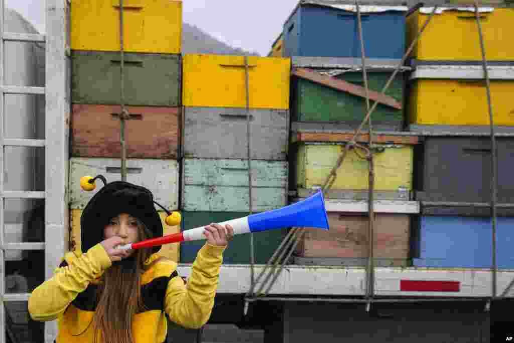 The daughter of an apiarist in a bee costume blows a horn during a protest to demand laws that protect the bee-keeping industry as bee keepers on strike block the Pan-American highway entrance to Santiago, Chile.