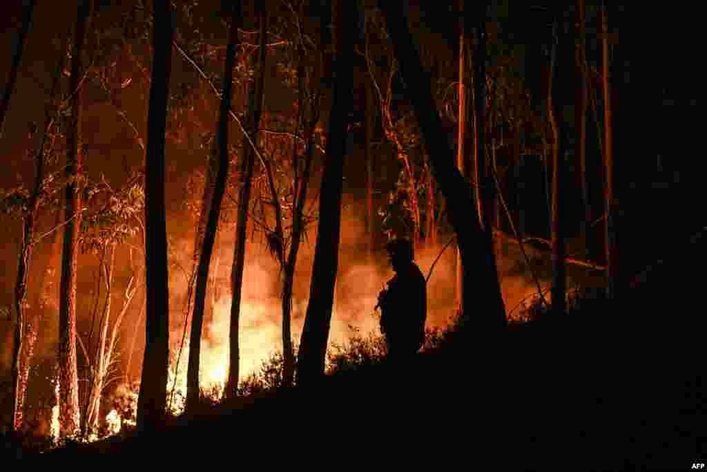 A silhouette of a firefighter standing in the forest is seen during a wildfire at Casais do Vento in Alvaiazere, Portugal.