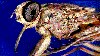 16x9 Image