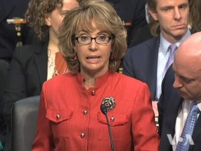 US Lawmakers Hear Divergent Views on Gun Violence