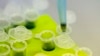 FILE - Laboratory technicians develop a technology to mass produce Ebola vaccine, Aug. 14, 2014. 