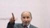Who Are the Libyan Rebels?