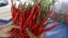 A worker holds harvested chilies at a plantation in Pasir Datar Indah village near Sukabumi, Indonesia's West Java province, Aug. 6, 2015. 