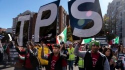 Reacciones de condena surgen en la oposición
venezolana a la cancelación del TPS