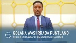 Qubanaha VOA