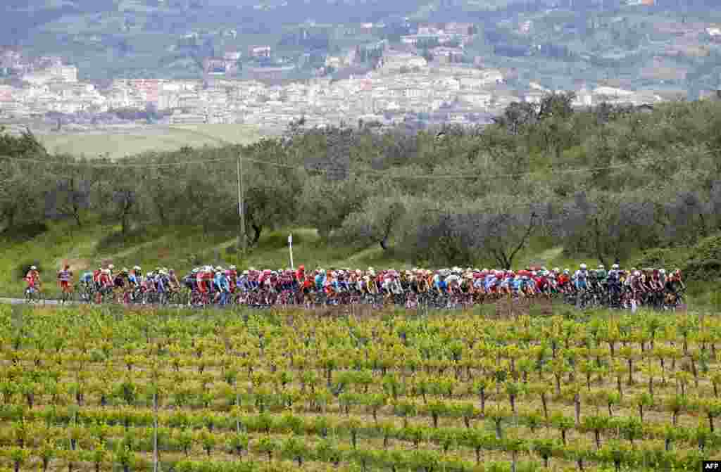 Riders compete during the stage three of the 102nd Giro d'Italia - Tour of Italy - cycle race, 220kms from Vinci to Orbetello.
