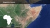 US Airstrike Kills 12 al-Shabab Fighters in Somalia