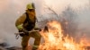 A firefighter from San Matteo helps fight the Kincade Fire in Sonoma County, Calif., on Sunday, Oct. 27, 2019.