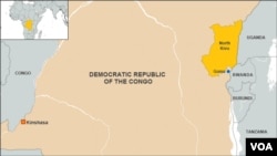 The U.S. warned Rwanda and the Democratic Republic of Congo on Tuesday that they "must walk back from the brink of war." 