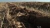 Life in Soil Impacts Life Above Ground