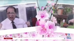 ویژه برنامه: نوروز در شهرفرنگ