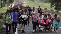 Avanza una nueva caravana de migrantes por México
