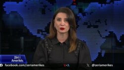Ditari - Knaus: Kushtëzimi i anëtarësimit të Kosovës në KiE me Asociacionin, i pamundëson të dyja 