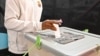 A man casts his ballot at a polling station during Bangladesh's general elections in Dhaka on Jan. 7, 2024. Bangladesh, where Sheikh Hasina won a fifth term as prime minister, kicked off a year in which billions of people will vote in national elections.